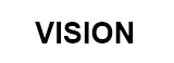 VISION VISION